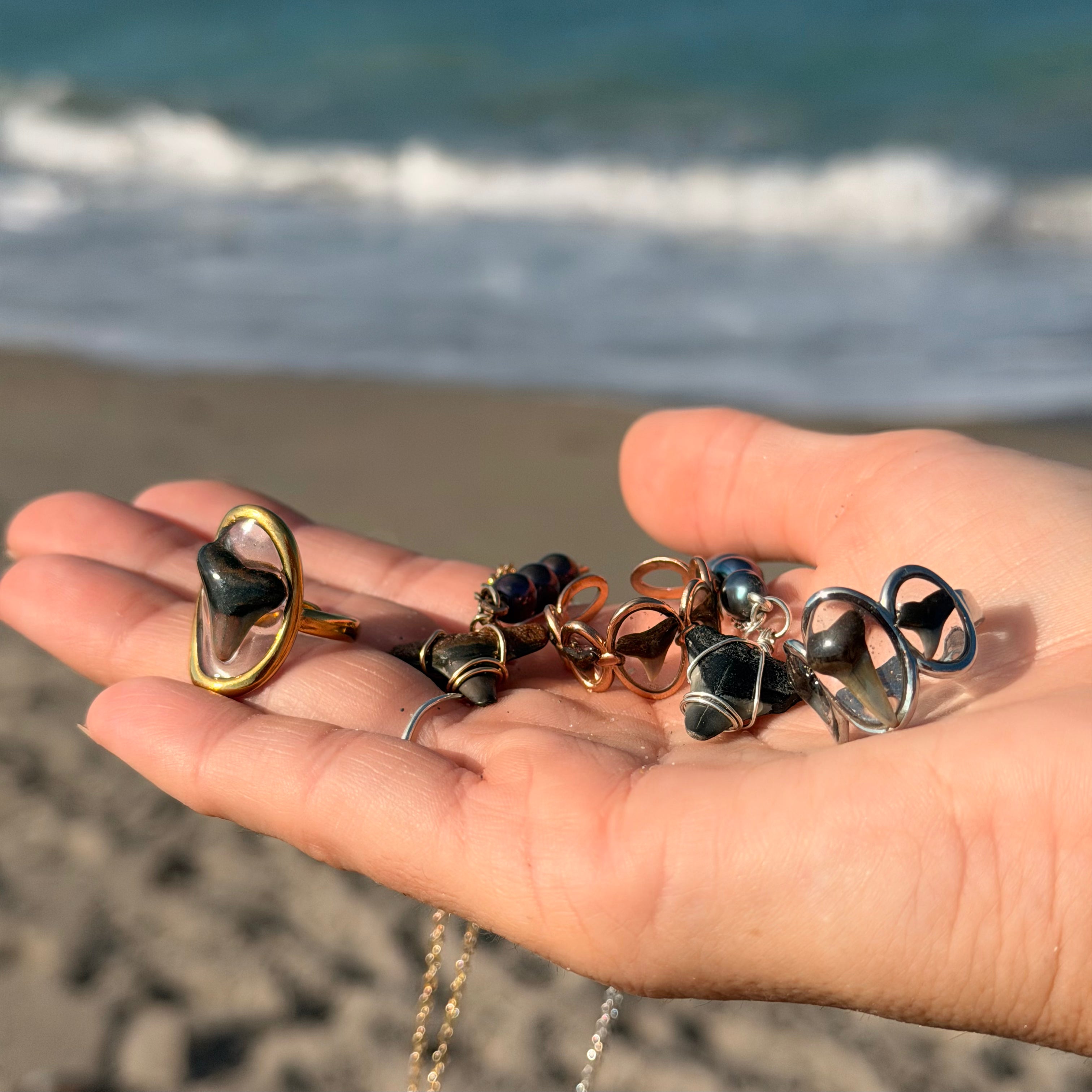 Shark Tooth Jewelry