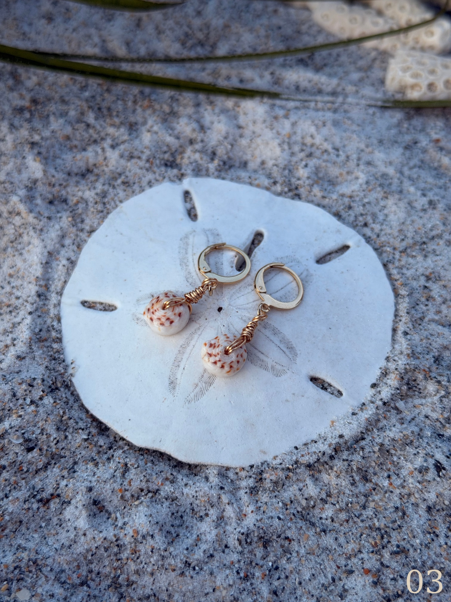 Koa - Puka Shell Earrings - Beachy Coastal Shell Jewelry