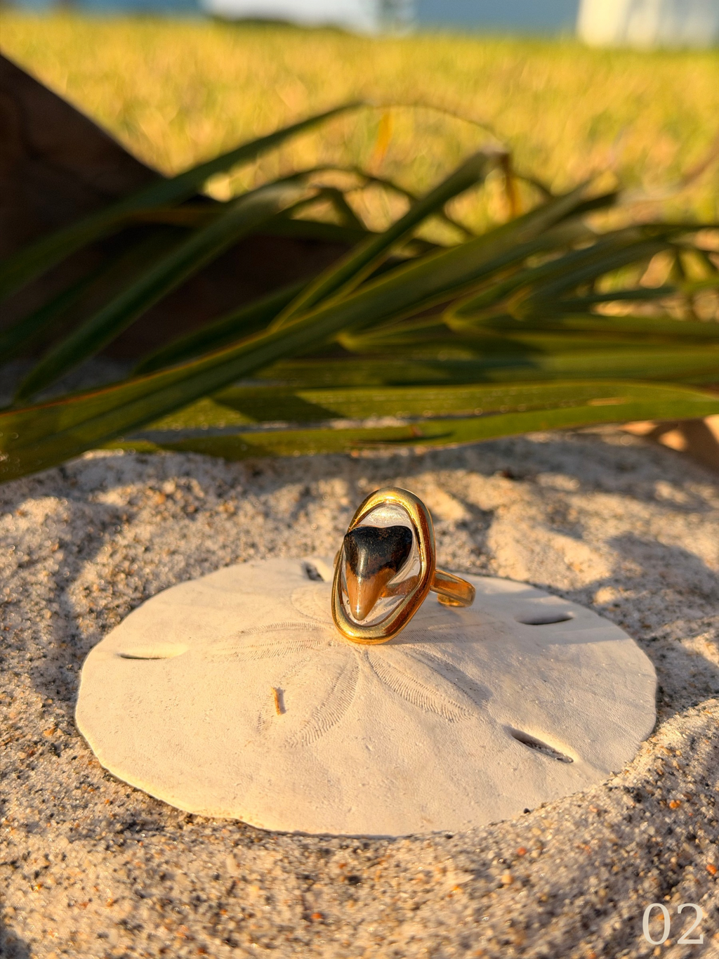Heather - Gold Shark Tooth Ring • Authentic Florida Tooth, Coastal Jewelry, Waterproof, Adjustable