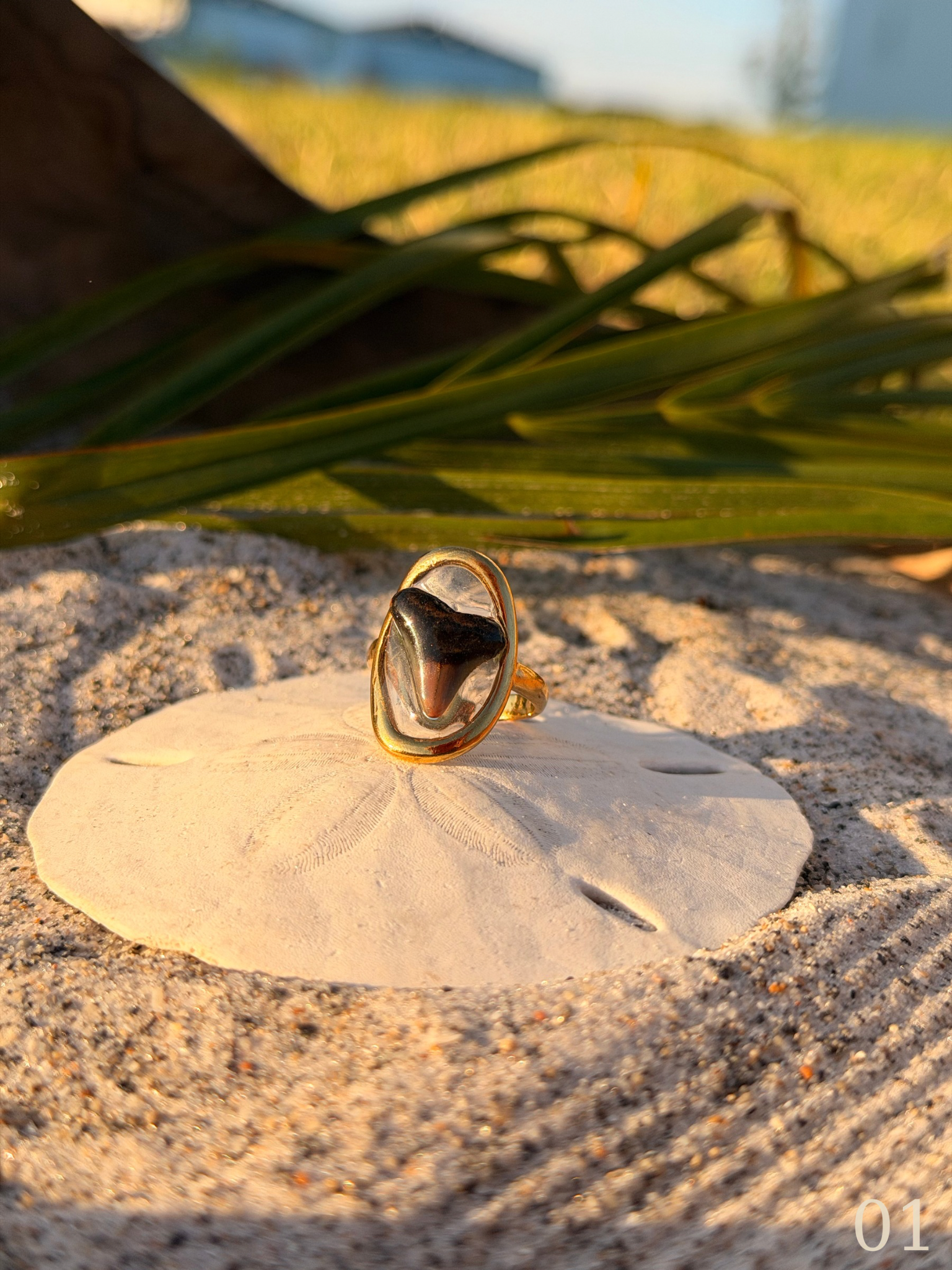 Heather - Gold Shark Tooth Ring • Authentic Florida Tooth, Coastal Jewelry, Waterproof, Adjustable