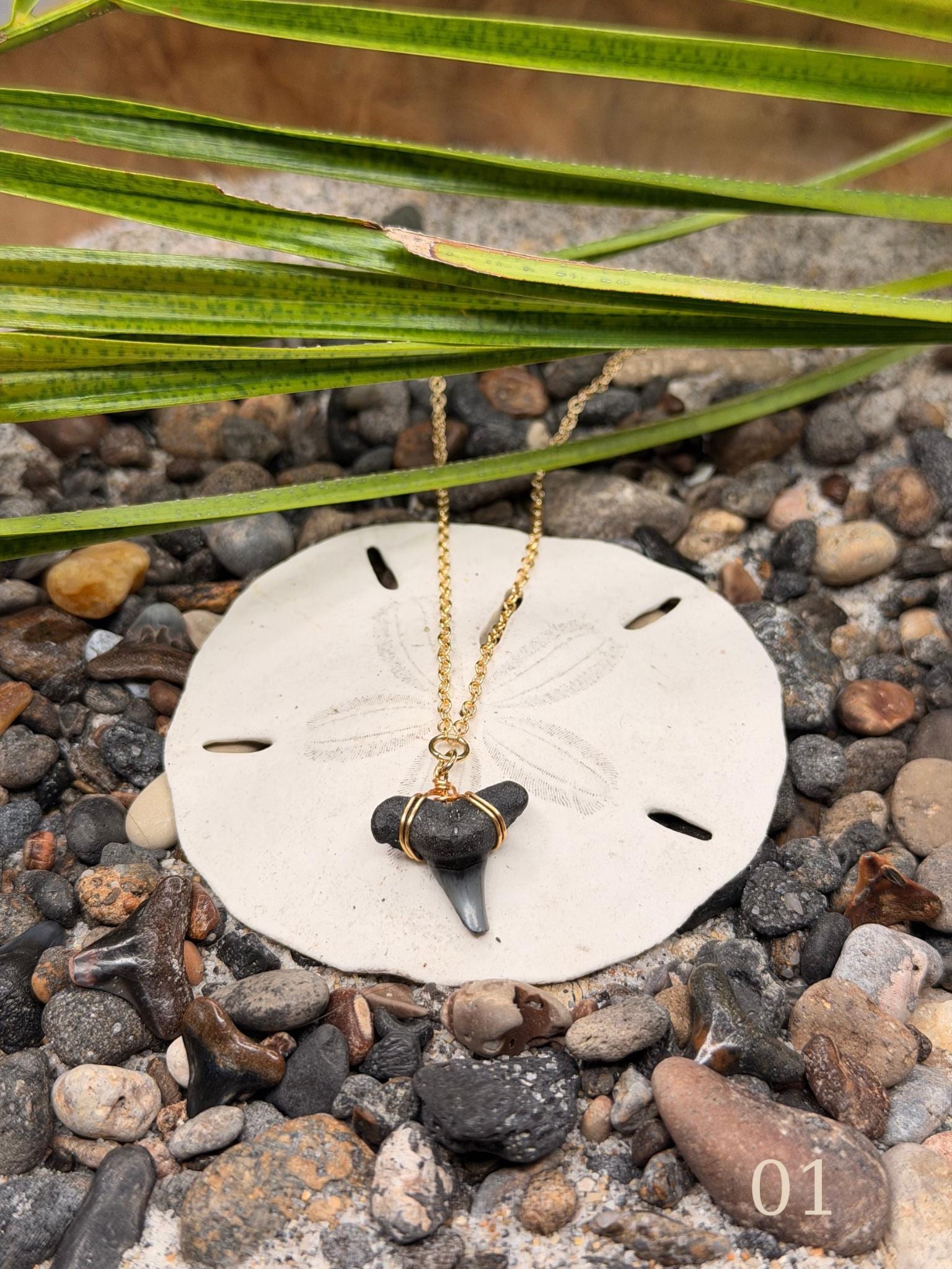 Mara - Shark Tooth Necklace – Coastal Statement Ocean Jewelry