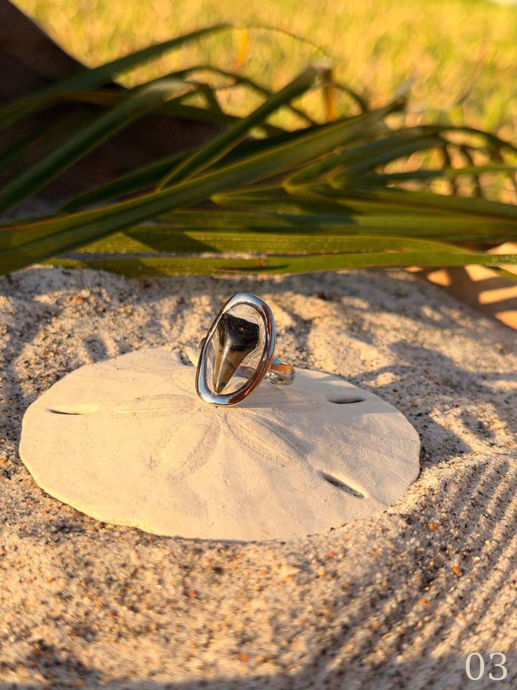 Heather - Shark Tooth Ring- Real Shark Tooth Jewelry- Stainless Steel- Coastal Ocean Ring