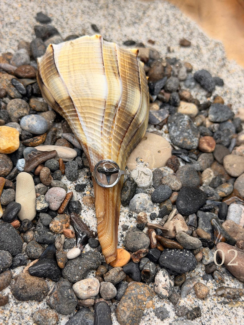 Isla - Minimal Shark Tooth Ring