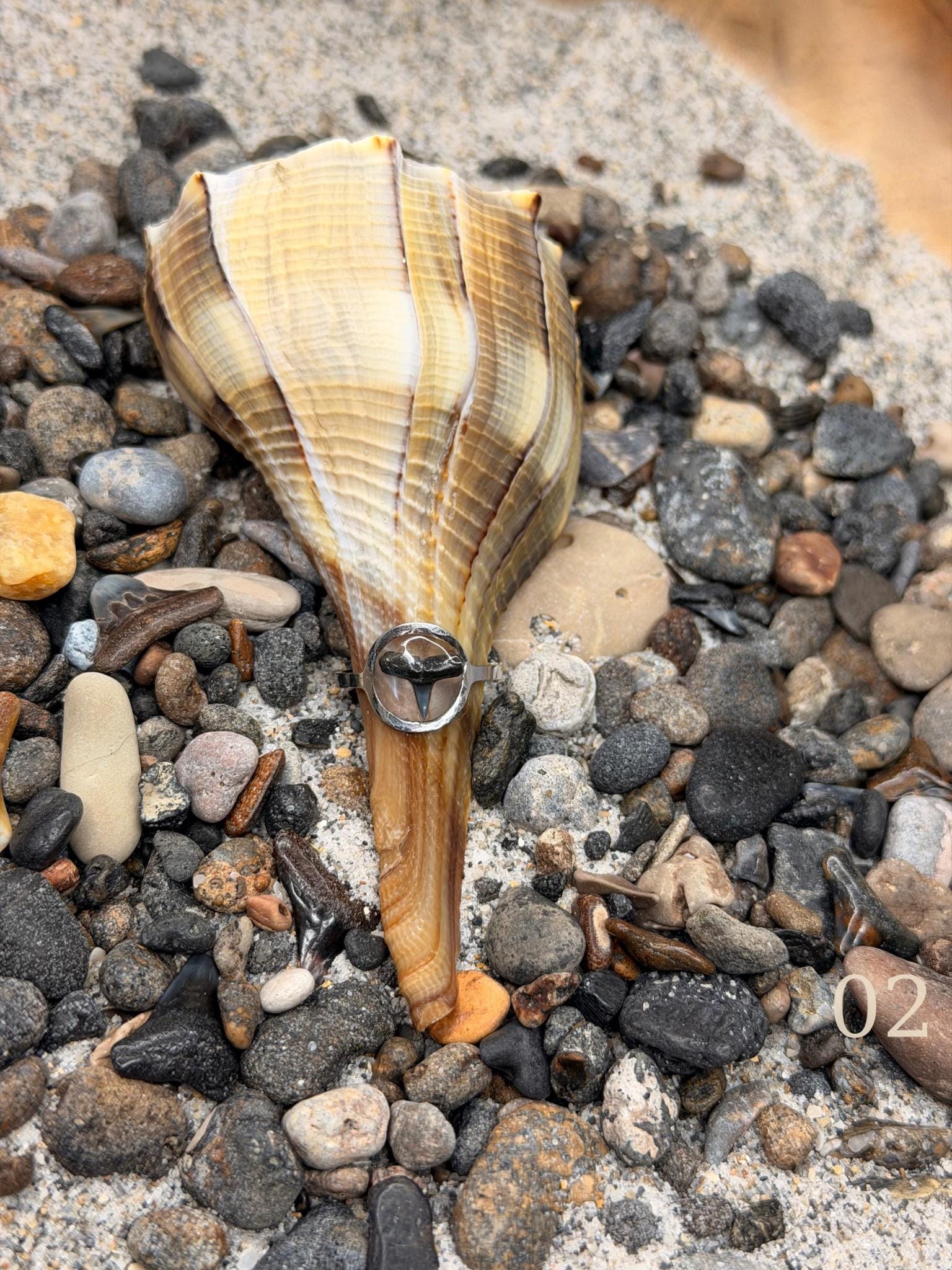 Isla - Minimal Shark Tooth Ring