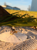 Heather - Gold Shark Tooth Ring • Authentic Florida Tooth, Coastal Jewelry, Waterproof, Adjustable
