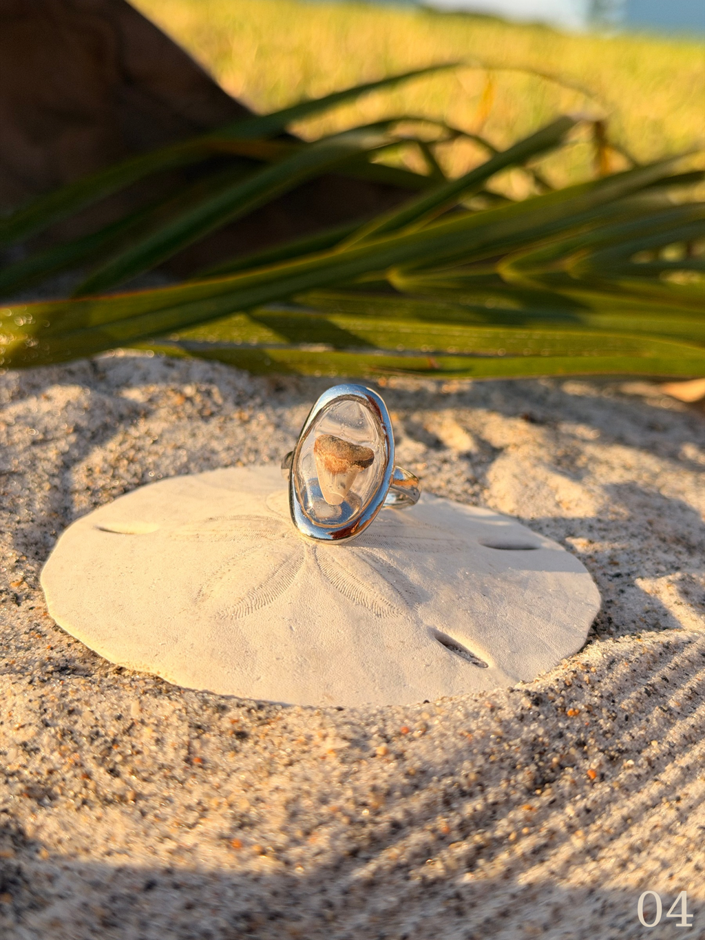 Heather - Shark Tooth Ring- Real Shark Tooth Jewelry- Stainless Steel- Coastal Ocean Ring