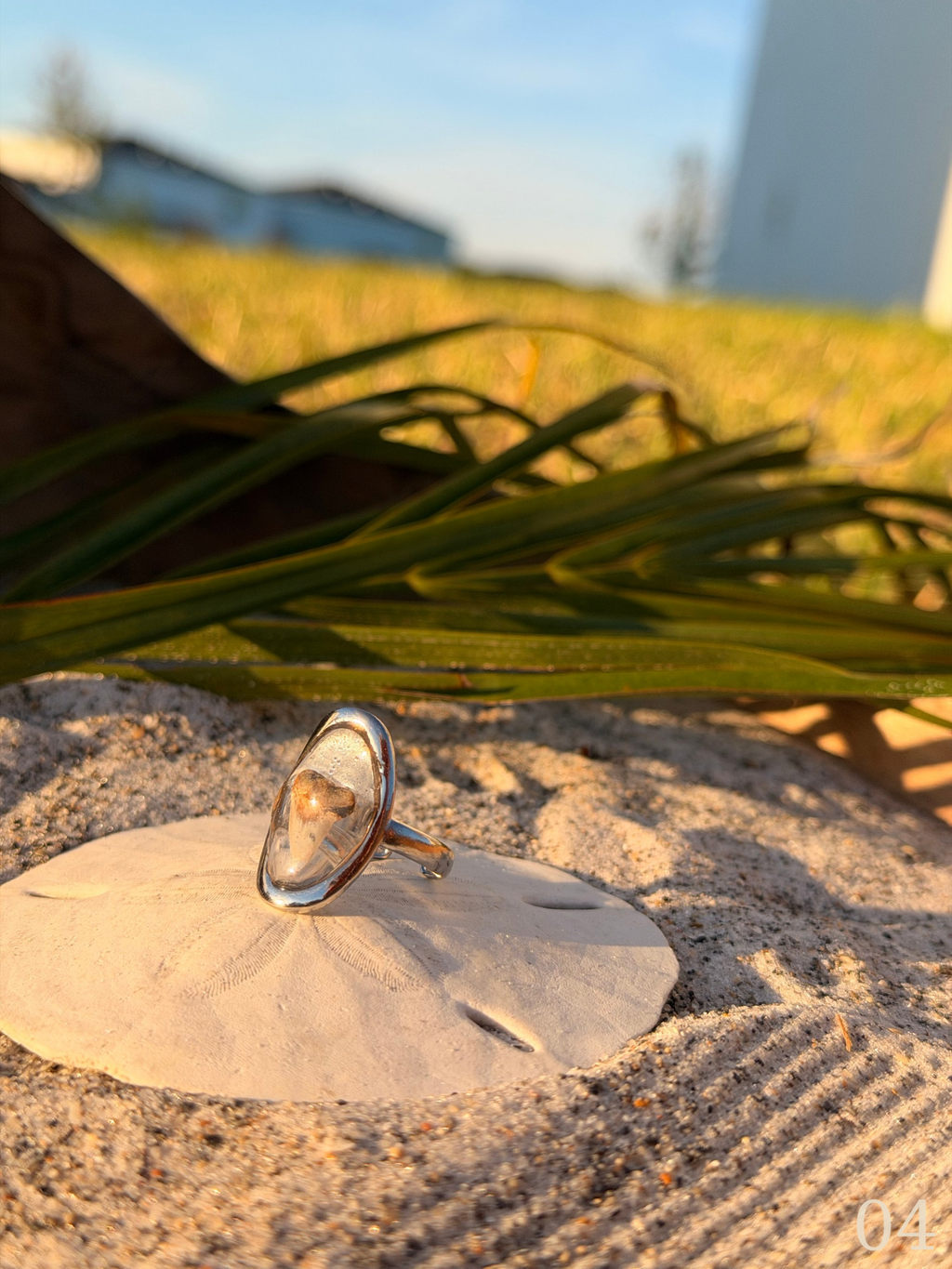 Heather - Shark Tooth Ring- Real Shark Tooth Jewelry- Stainless Steel- Coastal Ocean Ring