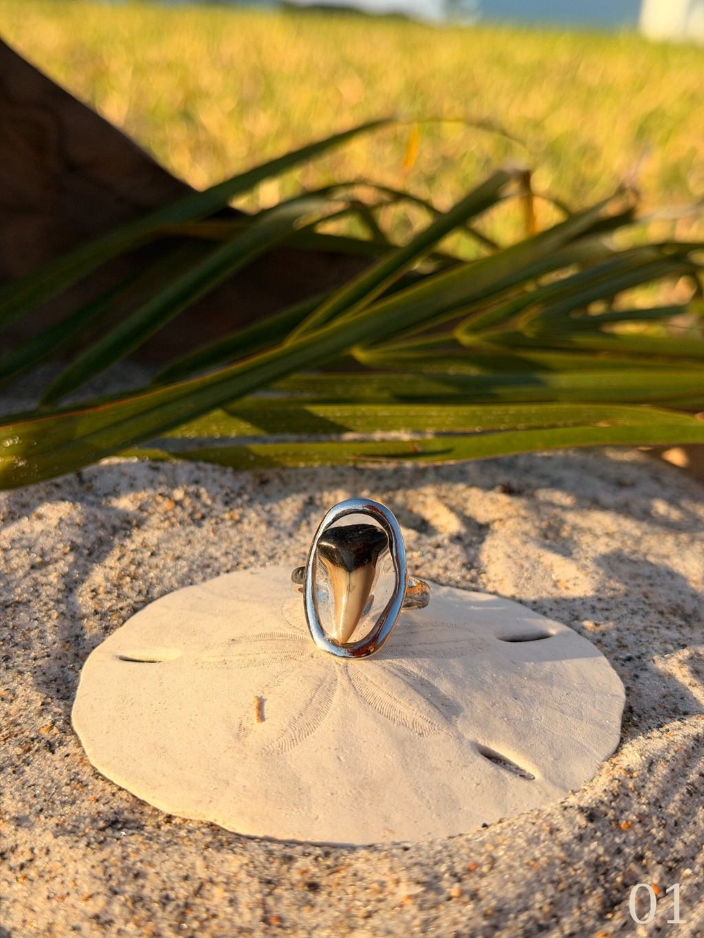Heather - Shark Tooth Ring- Real Shark Tooth Jewelry- Stainless Steel- Coastal Ocean Ring