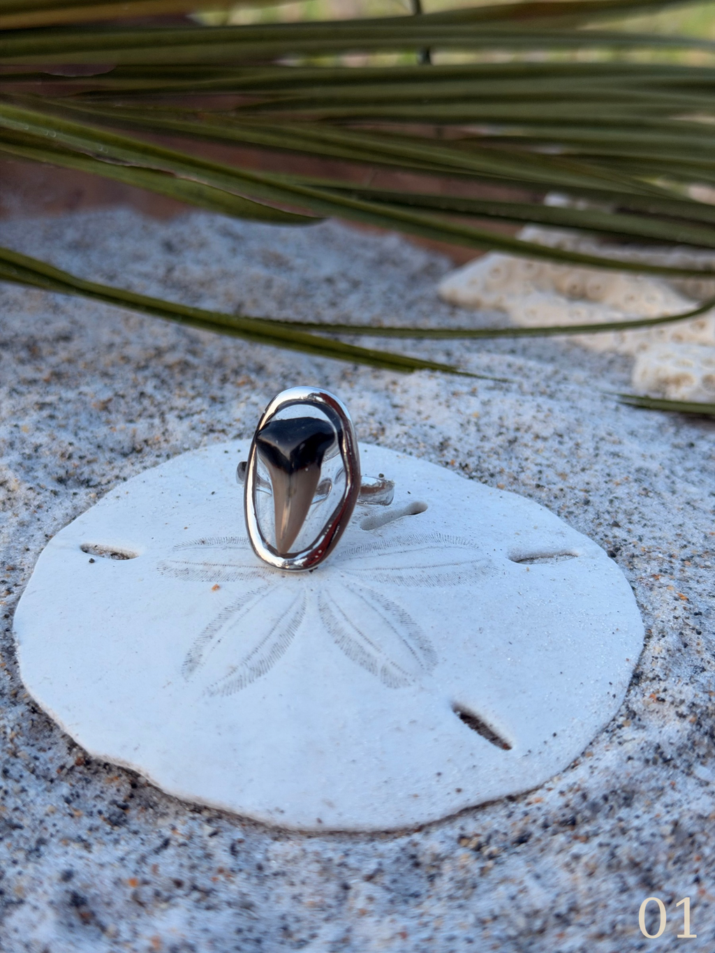Heather - Shark Tooth Ring- Real Shark Tooth Jewelry- Stainless Steel- Coastal Ocean Ring