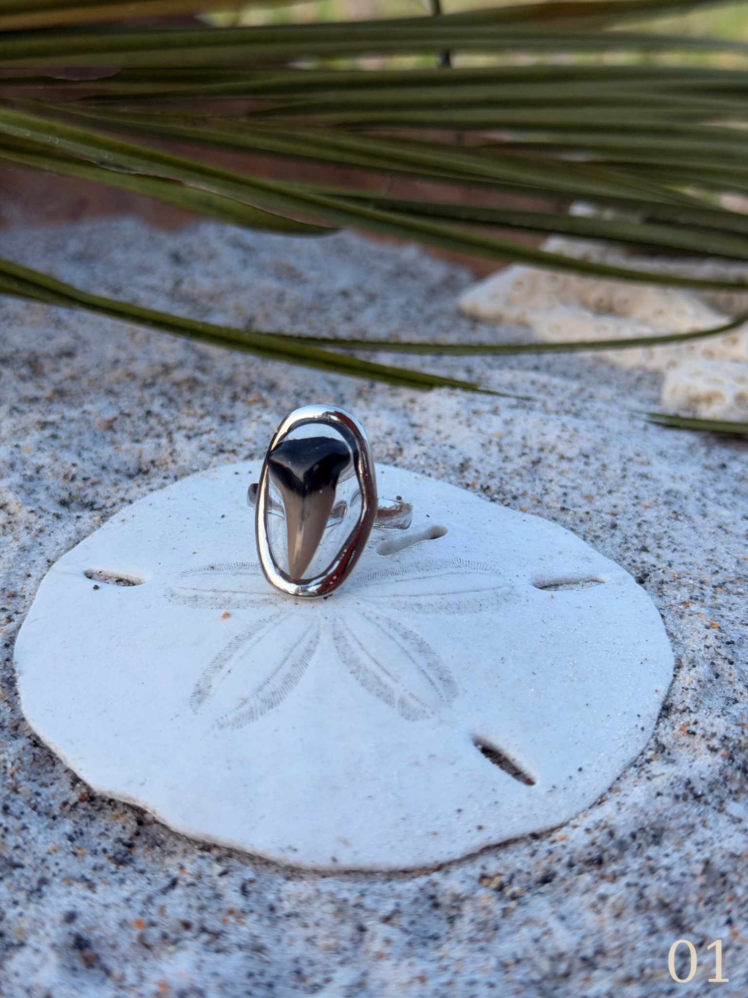 Heather - Shark Tooth Ring- Real Shark Tooth Jewelry- Stainless Steel- Coastal Ocean Ring