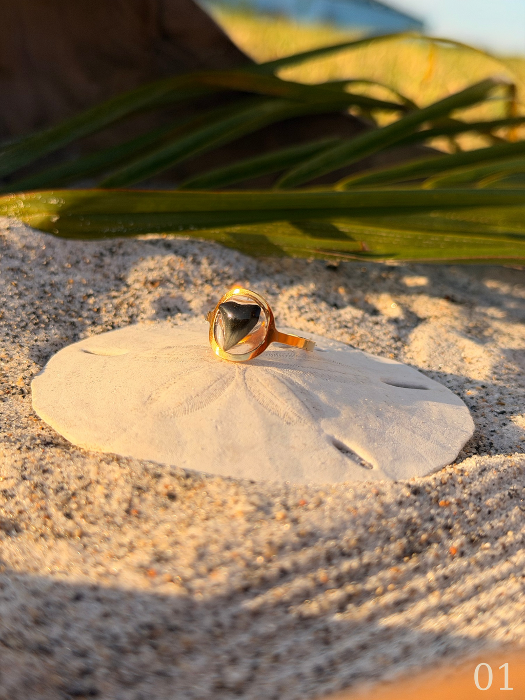 Isla - Minimal Shark Tooth Ring
