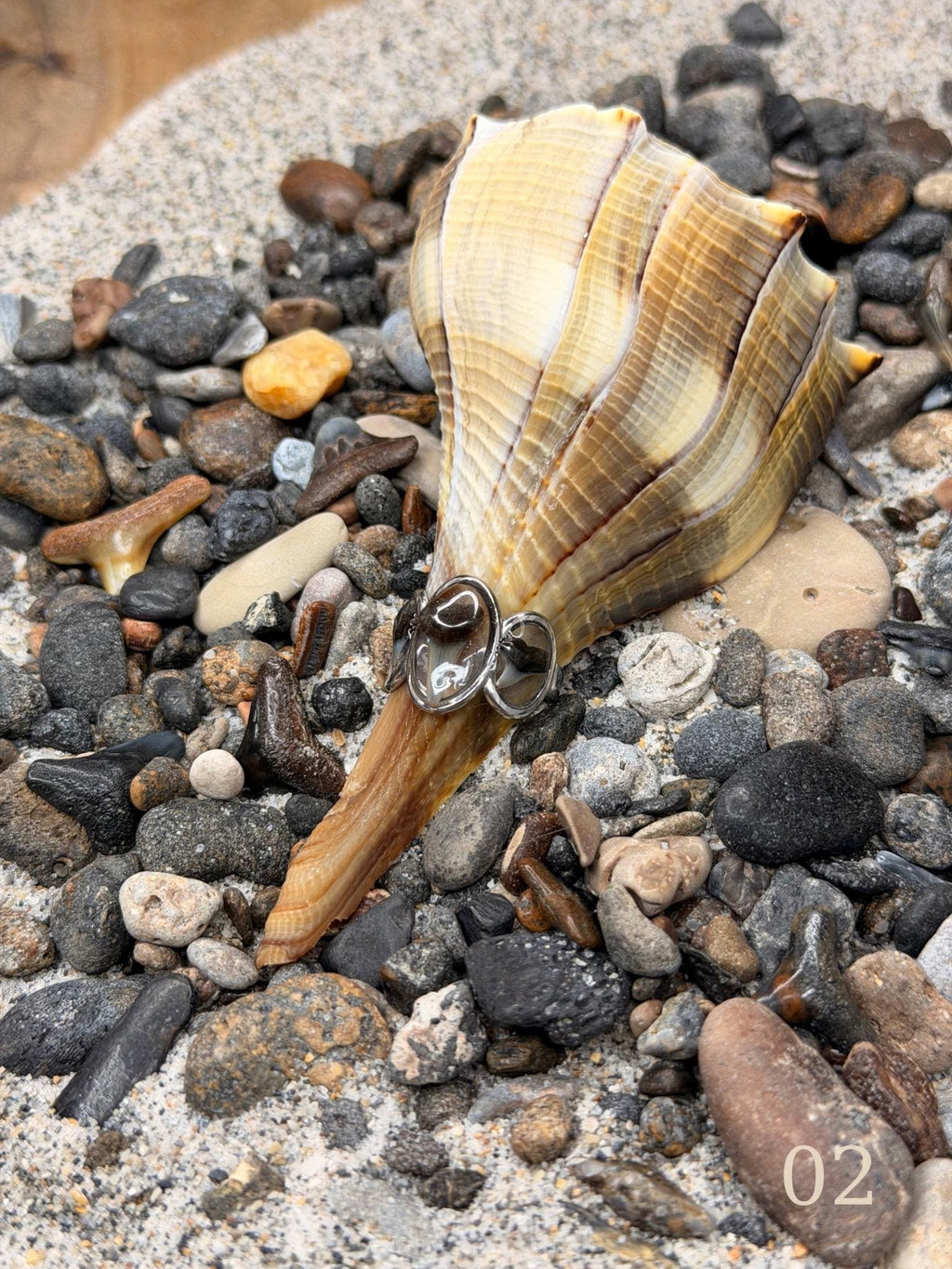 Talia - Triple Shark Tooth Ring • Resin Encased, Adjustable Stainless Steel, Ocean Jewelry