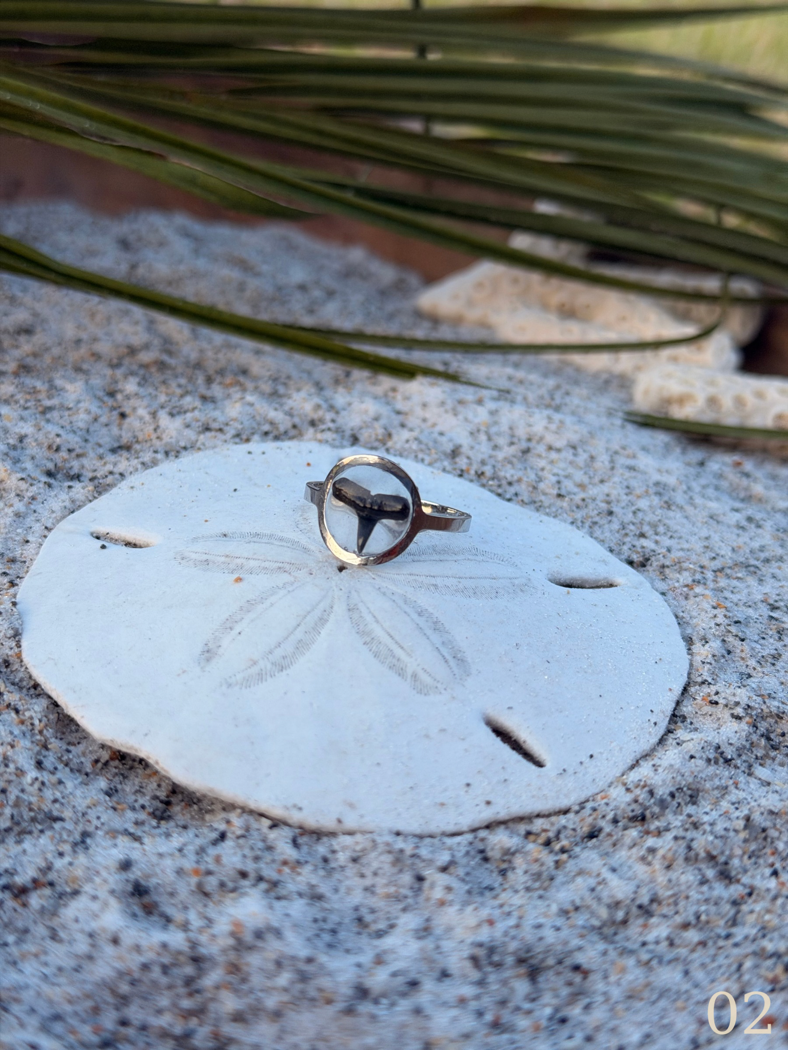Isla - Minimal Shark Tooth Ring