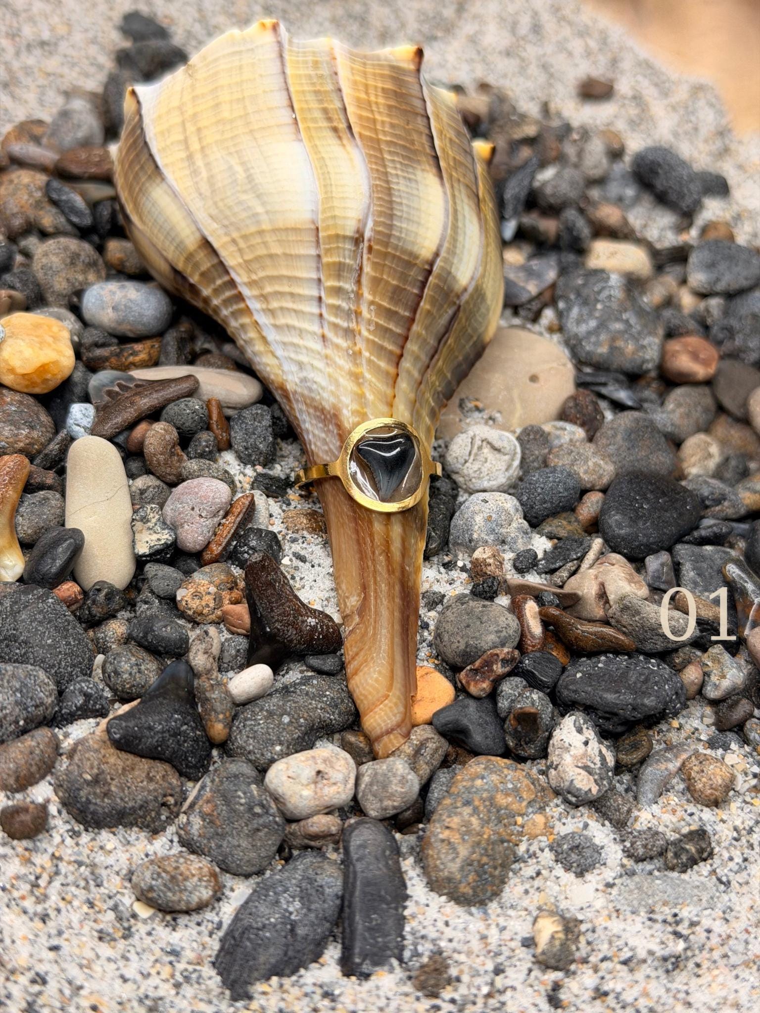 Isla - Minimal Shark Tooth Ring