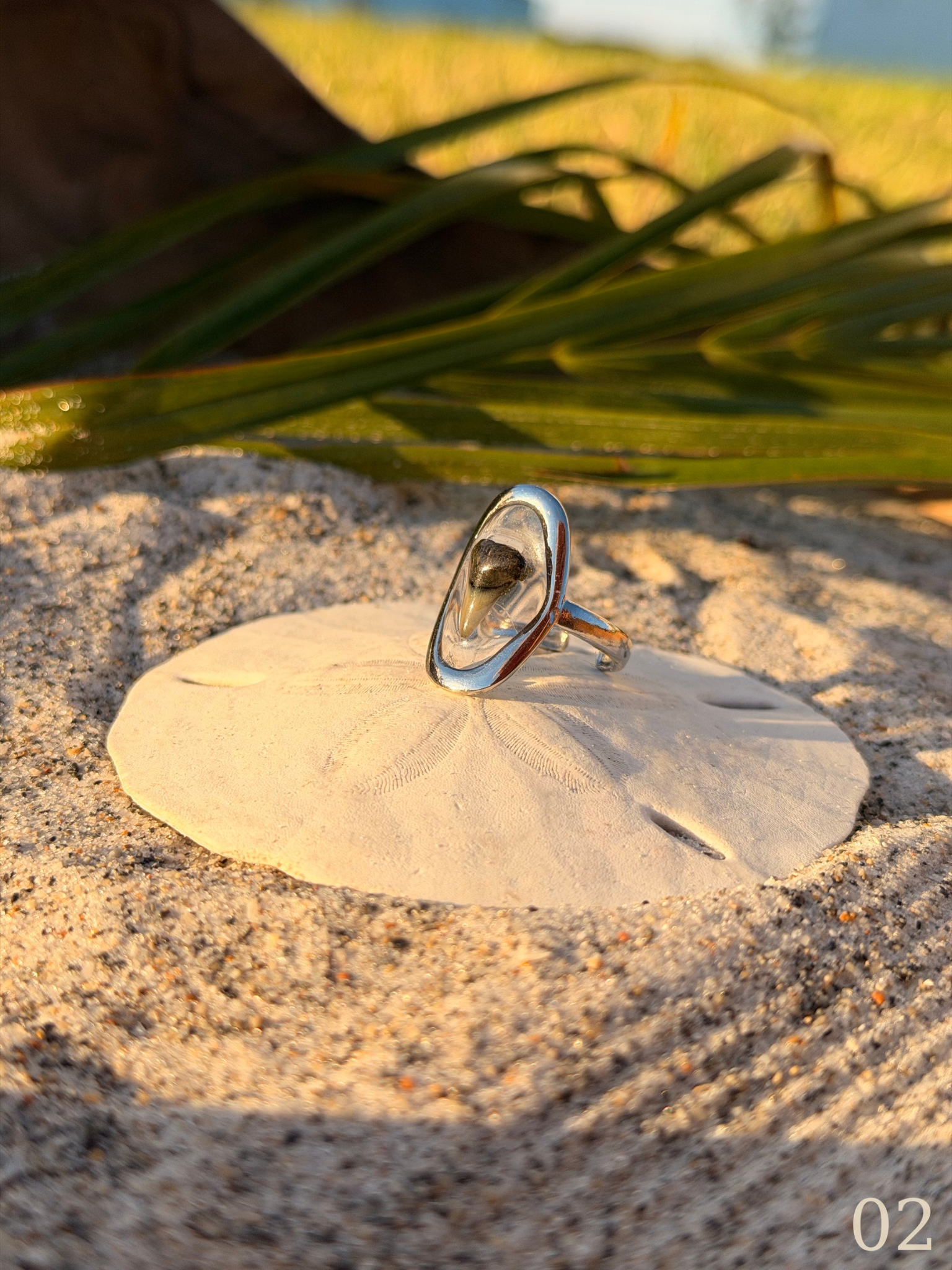 Heather - Shark Tooth Ring- Real Shark Tooth Jewelry- Stainless Steel- Coastal Ocean Ring