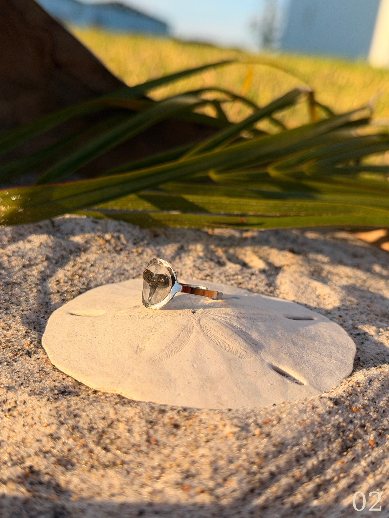 Isla - Minimal Shark Tooth Ring