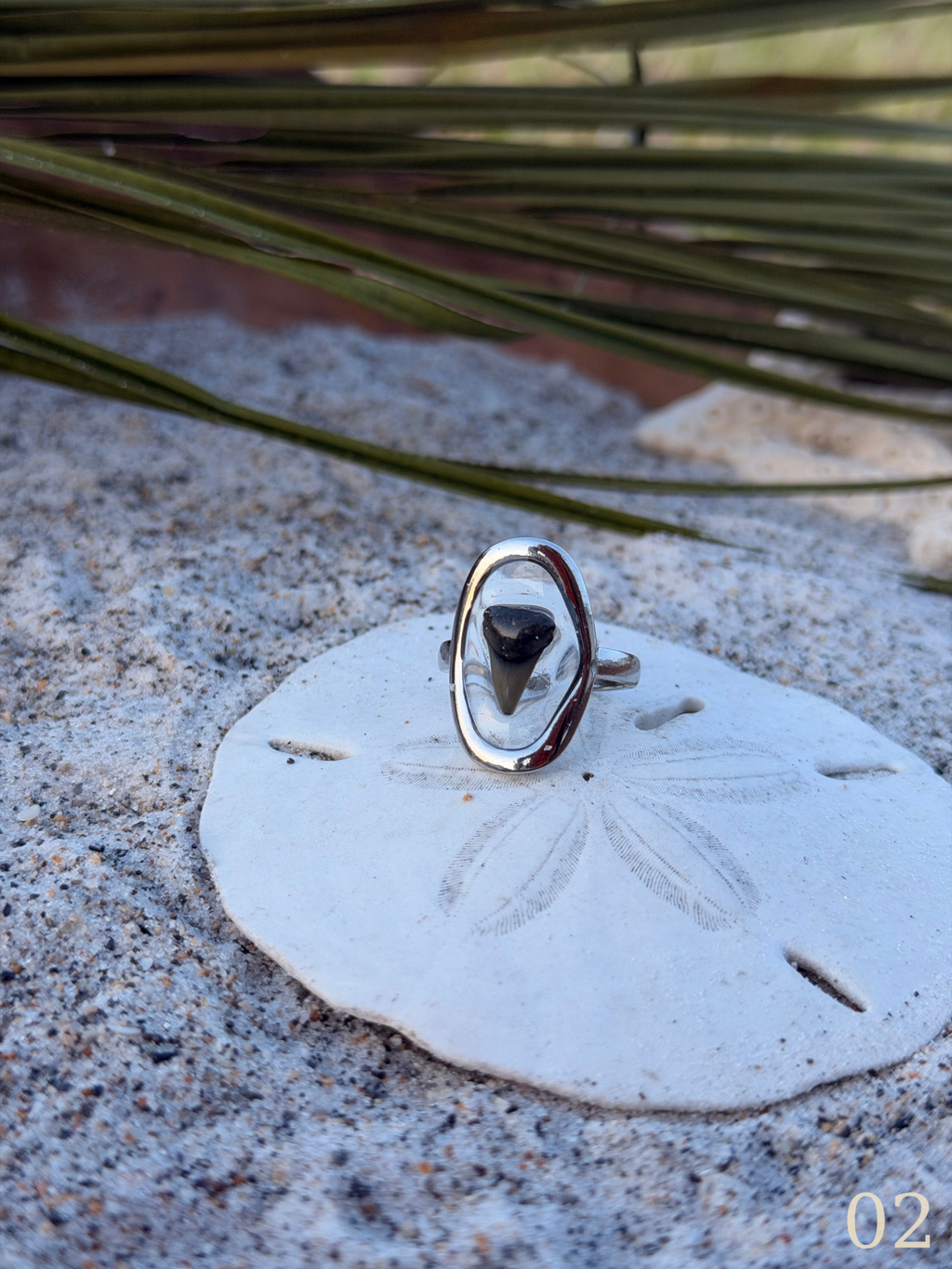 Heather - Shark Tooth Ring- Real Shark Tooth Jewelry- Stainless Steel- Coastal Ocean Ring