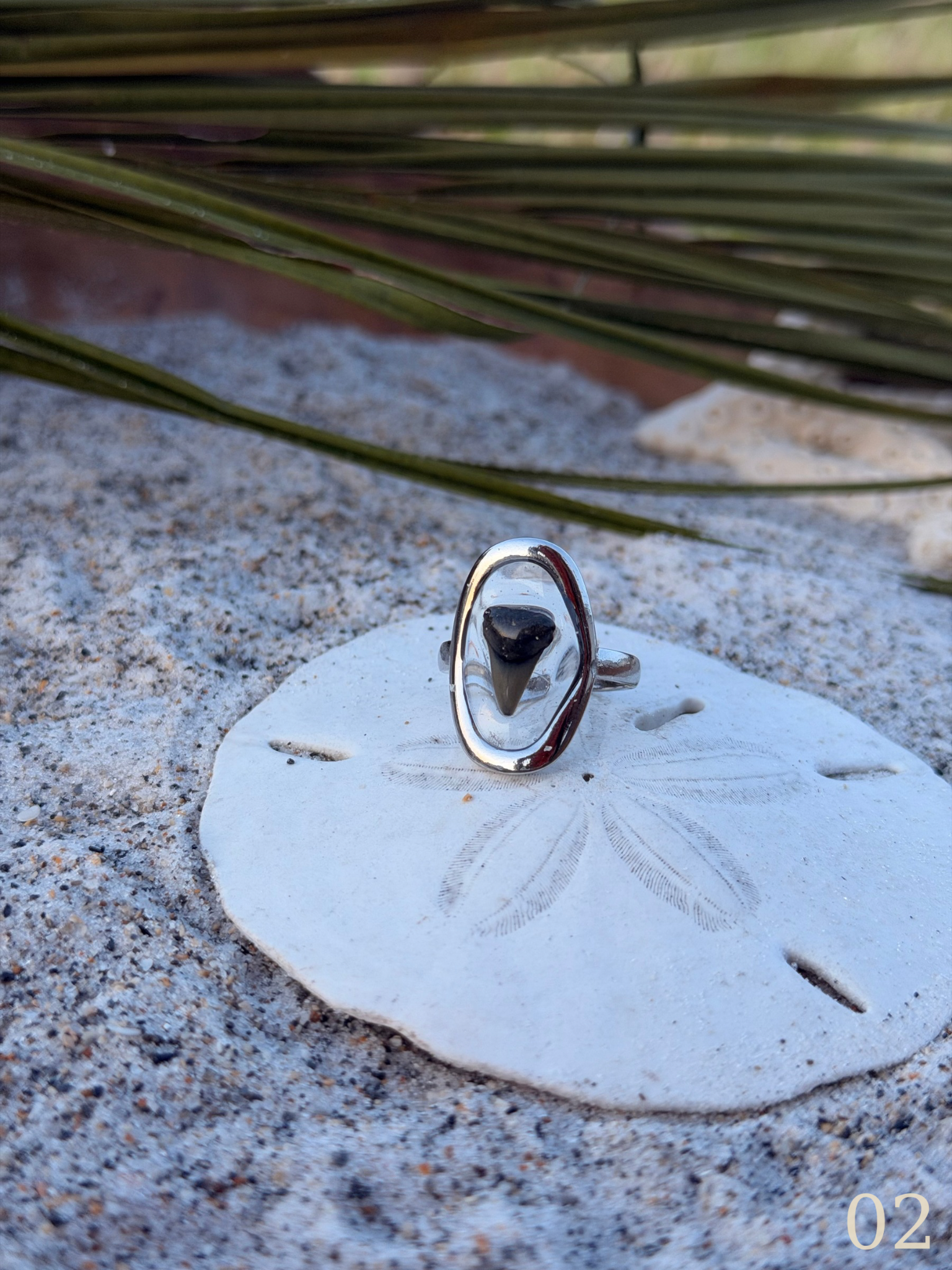 Heather - Shark Tooth Ring- Real Shark Tooth Jewelry- Stainless Steel- Coastal Ocean Ring