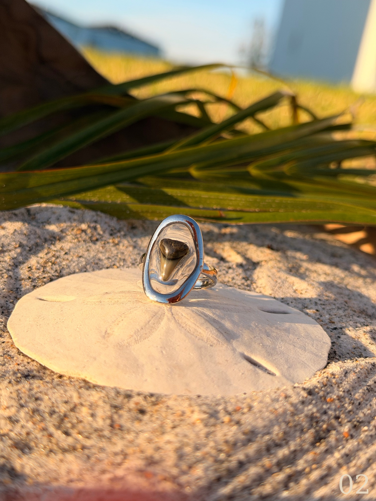 Heather - Shark Tooth Ring- Real Shark Tooth Jewelry- Stainless Steel- Coastal Ocean Ring