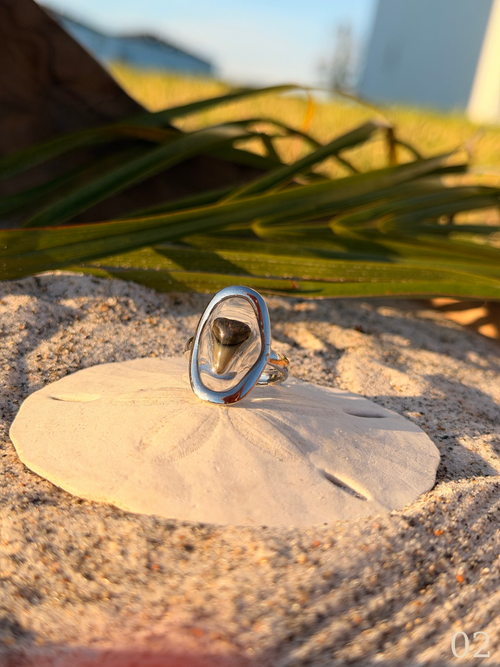 Heather - Shark Tooth Ring- Real Shark Tooth Jewelry- Stainless Steel- Coastal Ocean Ring