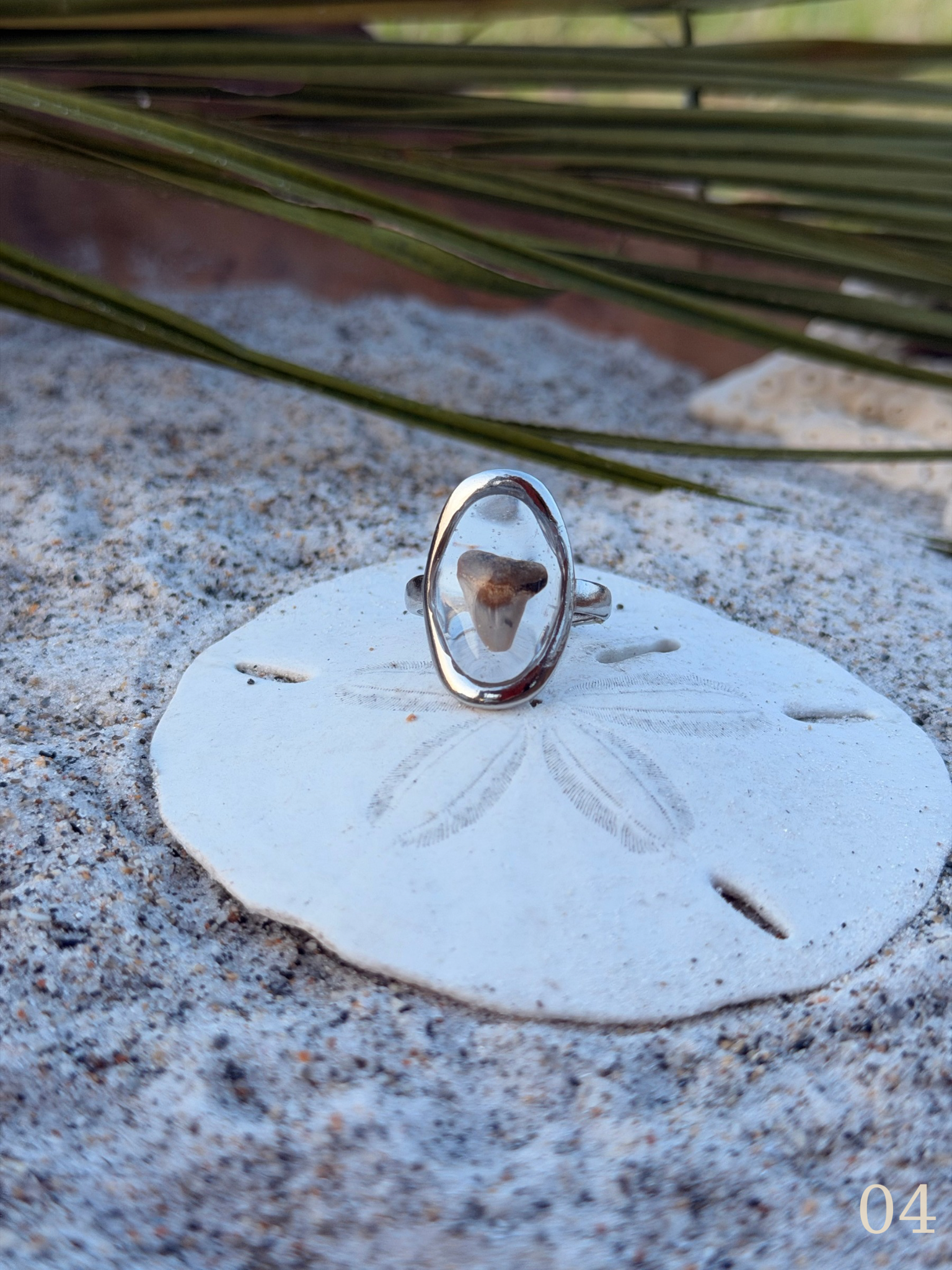 Heather - Shark Tooth Ring- Real Shark Tooth Jewelry- Stainless Steel- Coastal Ocean Ring