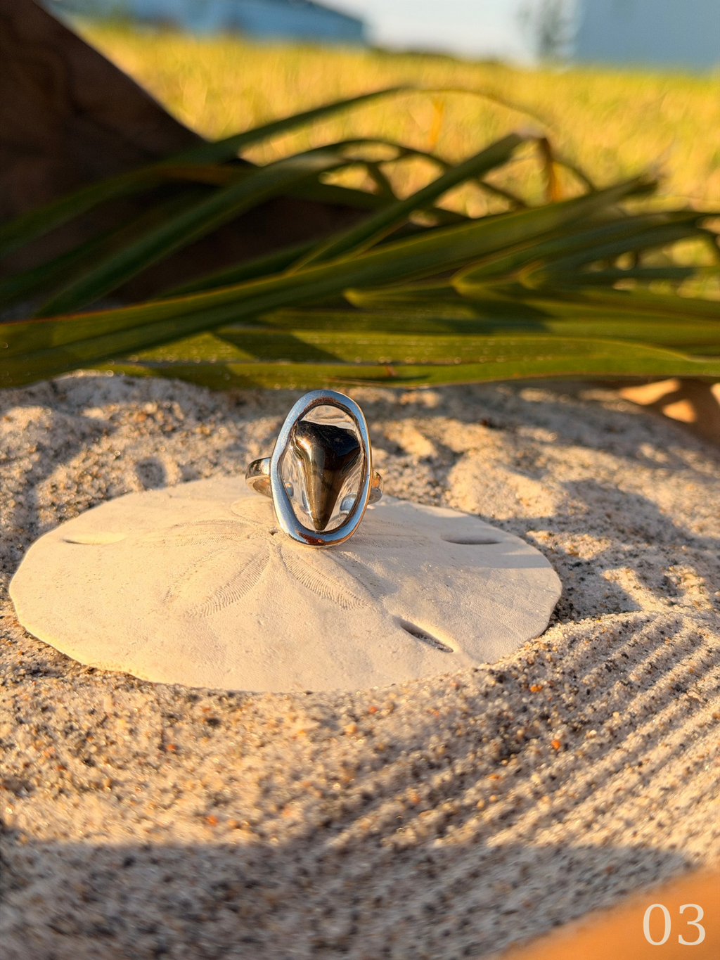 Heather - Shark Tooth Ring- Real Shark Tooth Jewelry- Stainless Steel- Coastal Ocean Ring