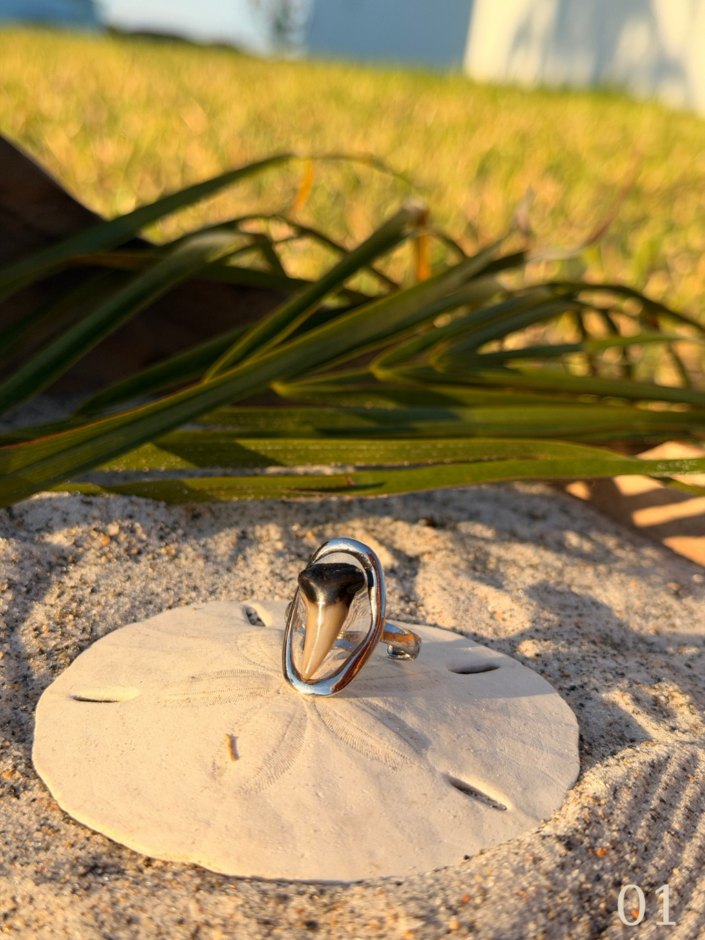 Heather - Shark Tooth Ring- Real Shark Tooth Jewelry- Stainless Steel- Coastal Ocean Ring
