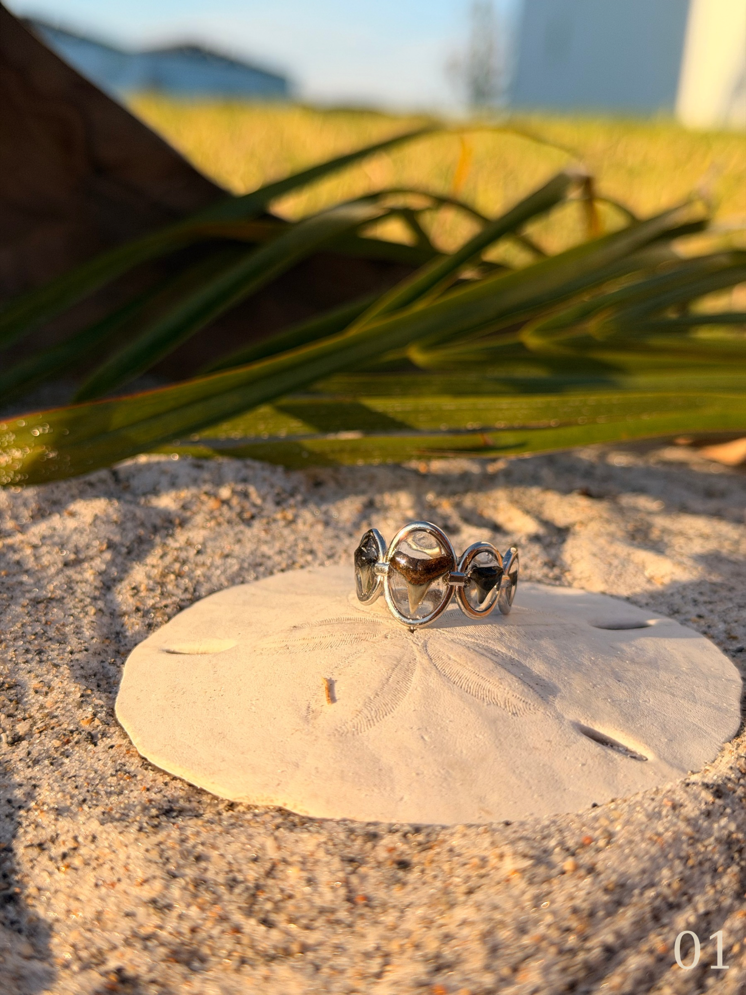 Lola - Shark Tooth Ring - Silver Statement Ring