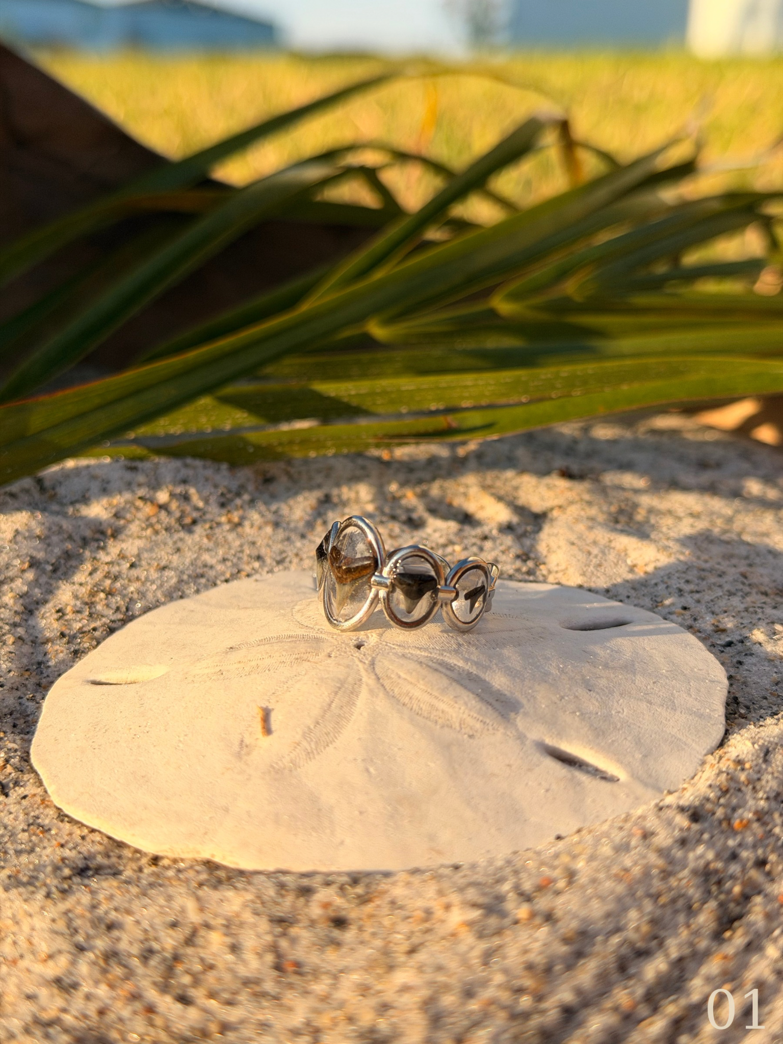 Lola - Shark Tooth Ring - Silver Statement Ring