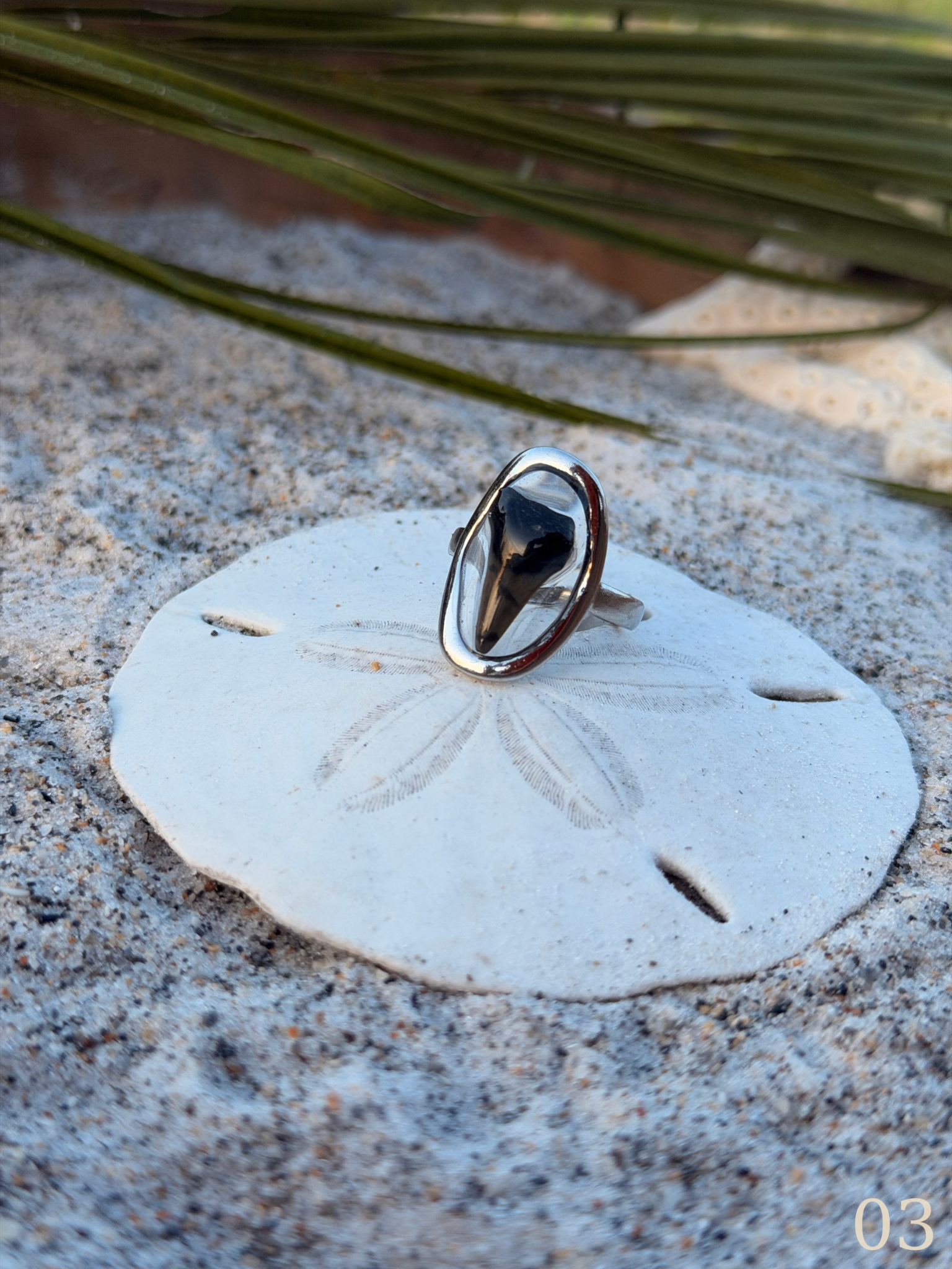 Heather - Shark Tooth Ring- Real Shark Tooth Jewelry- Stainless Steel- Coastal Ocean Ring