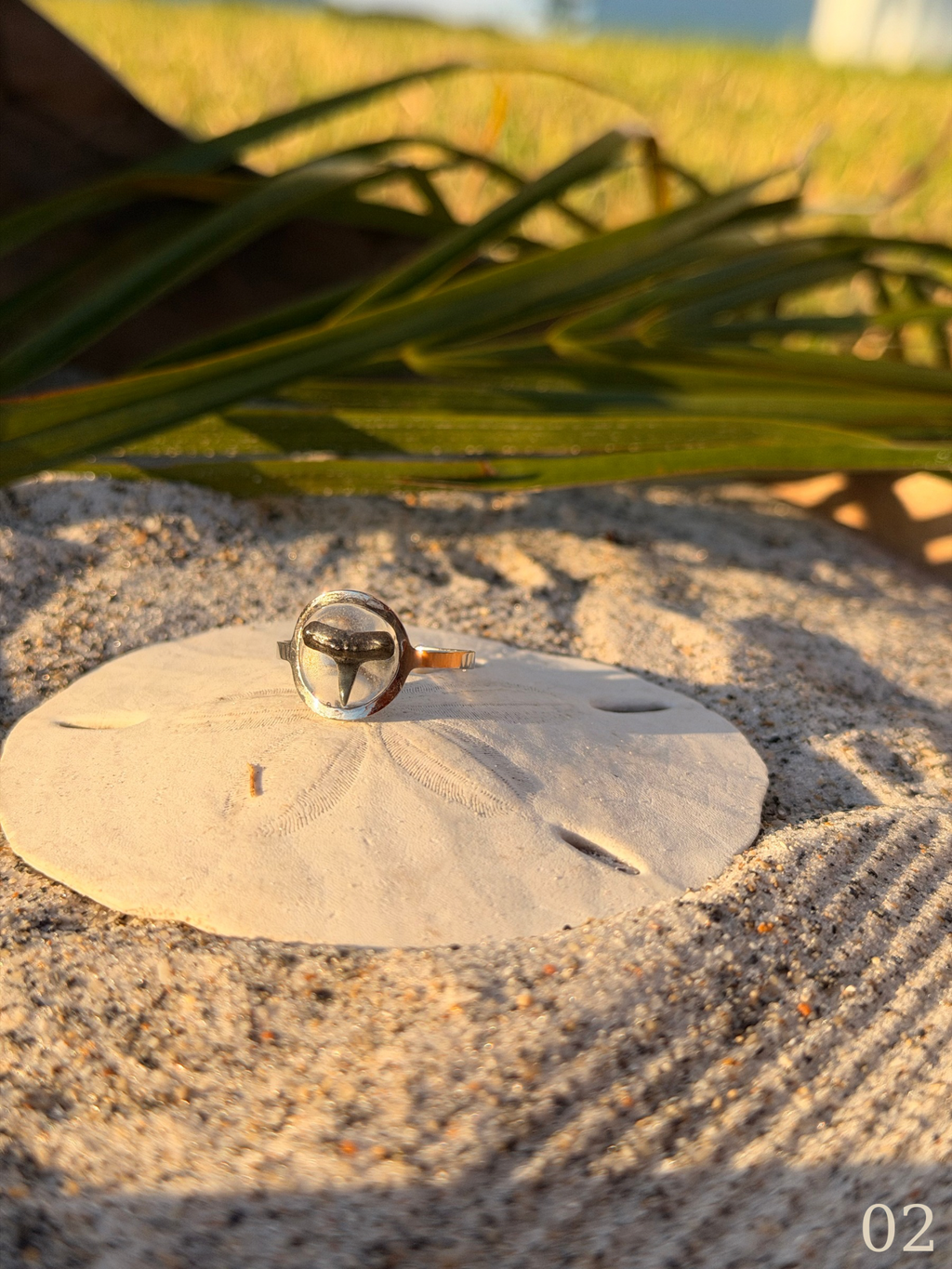 Isla - Minimal Shark Tooth Ring