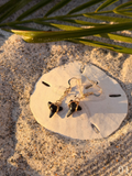 Kaia - Shark Tooth Earrings - Coastal Beach Ocean Jewelry