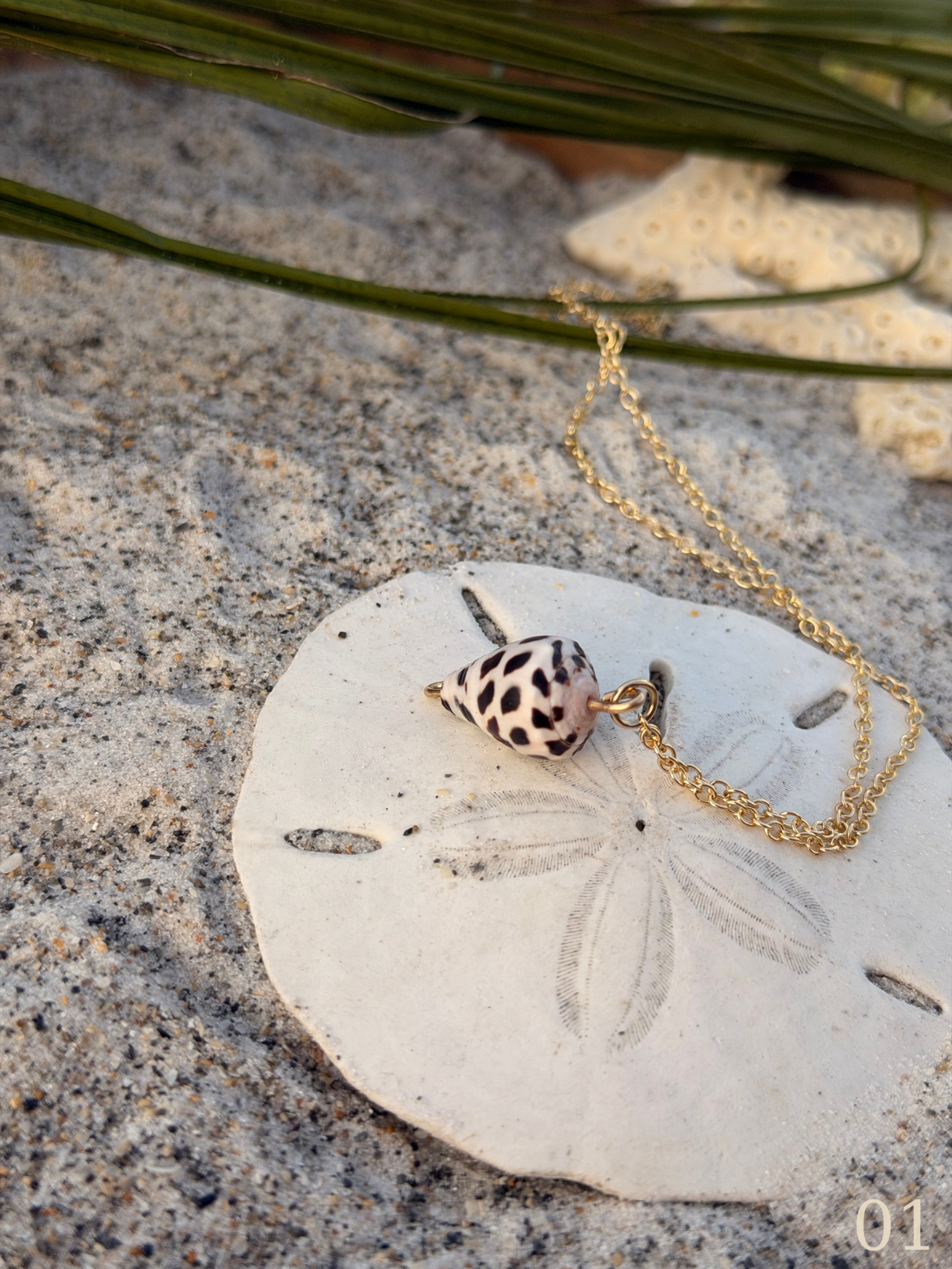 Lani - Cone Shell Necklace –Beachy Coastal Shell Jewelry