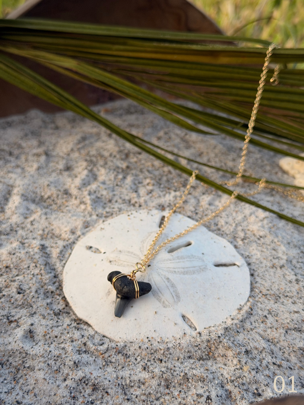 Mara - Shark Tooth Necklace – Coastal Statement Ocean Jewelry