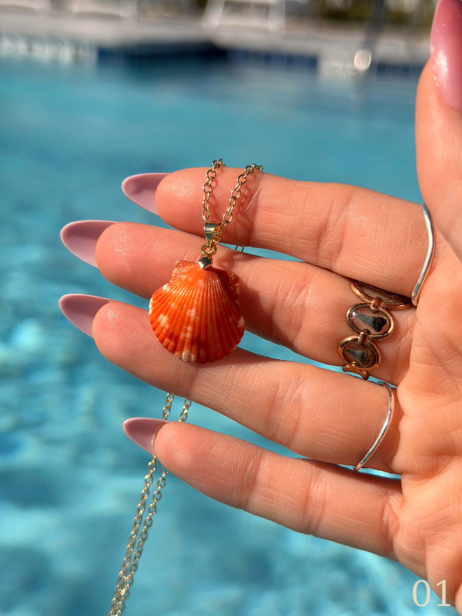 Shelle - Scallop Shell Necklace – Coastal Ocean Jewelry