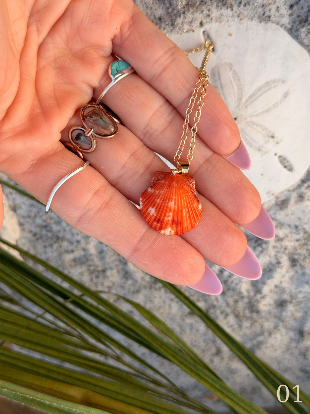 Shelle - Scallop Shell Necklace – Coastal Ocean Jewelry